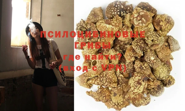 тгк Карпинск