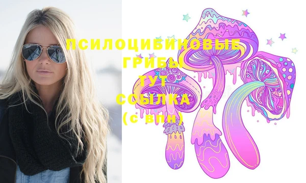 тгк Карпинск