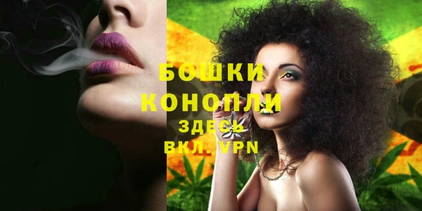 дмт Кострома