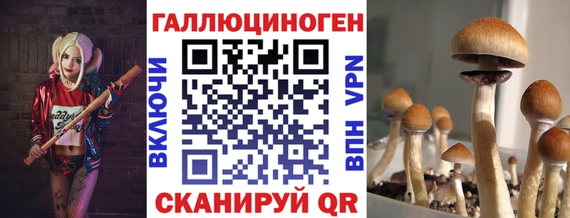 Галлюциногенные грибы ЛСД Славянск-на-Кубани