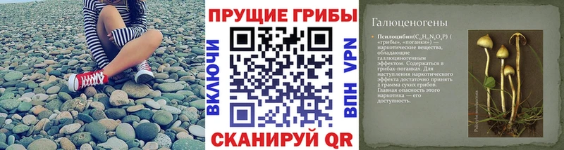 Галлюциногенные грибы Psilocybine cubensis  купить наркотики сайты  Славянск-на-Кубани 