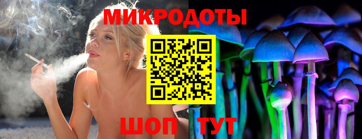 Славянск-на-Кубани  Псилоцибиновые грибы мухоморы  где можно купить   Вход с VPN 
